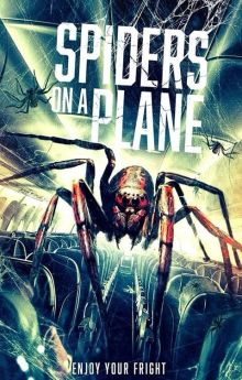 Spiders on a Plane