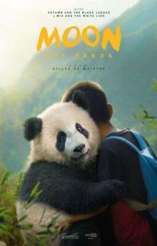Moon The Panda