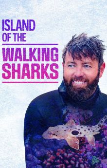 Island of the Walking Sharks